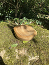 tempImagej5PAV7.webp