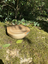 tempImageF80jLX.webp