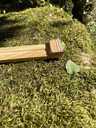 tempImageK40LRw.webp