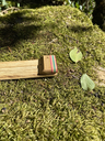 tempImagey5WDUb.webp